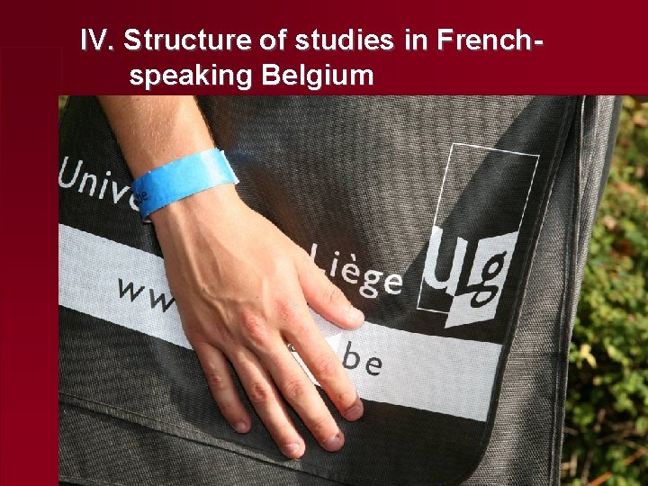 IV. Structure of studies in French speaking Belgium 