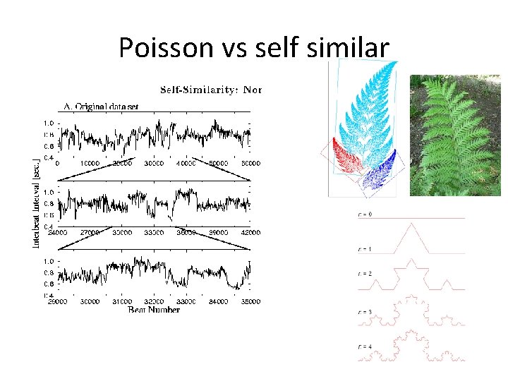 Poisson vs self similar 