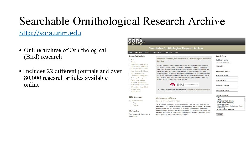 Searchable Ornithological Research Archive http: //sora. unm. edu • Online archive of Ornithological (Bird)