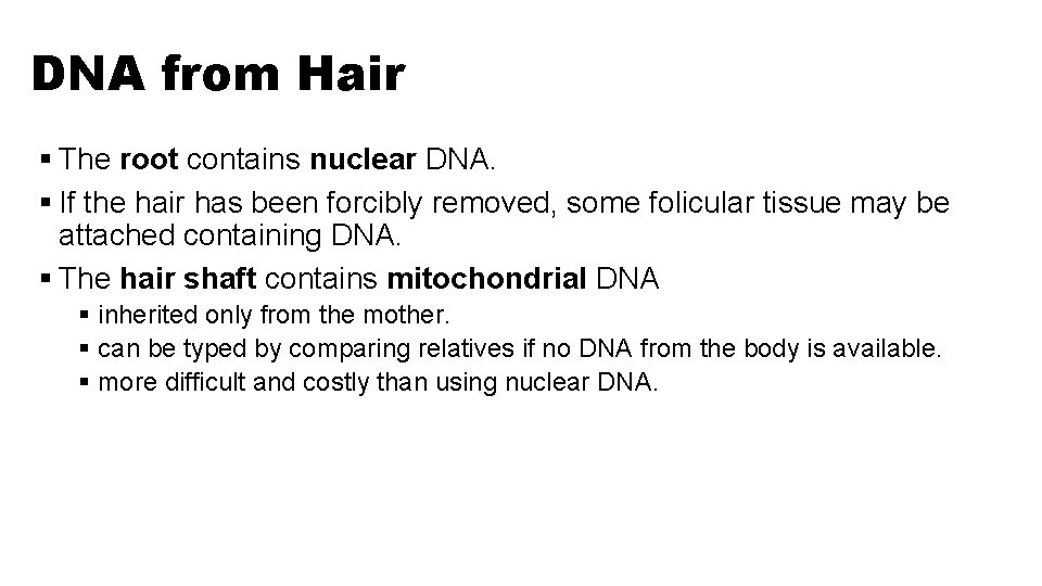 DNA from Hair § The root contains nuclear DNA. § If the hair has DNA from Hair § The root contains nuclear DNA. § If the hair has