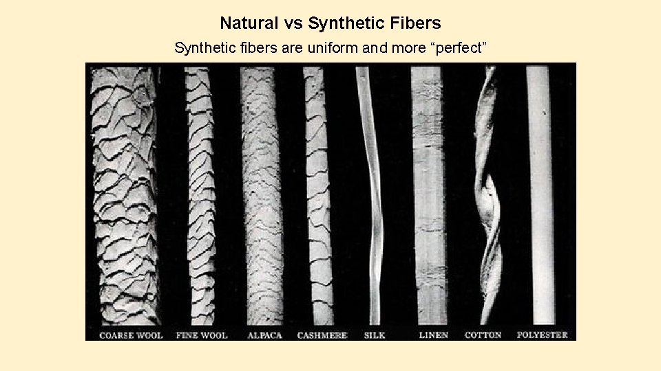 Natural vs Synthetic Fibers Synthetic fibers are uniform and more “perfect” Natural vs Synthetic Fibers Synthetic fibers are uniform and more “perfect”