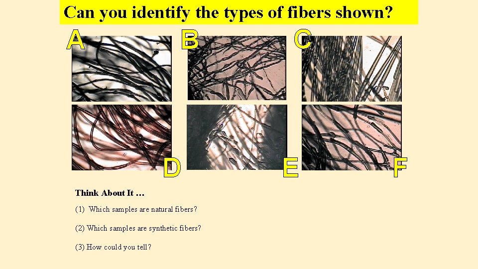 Can you identify the types of fibers shown? A B D Think About It
