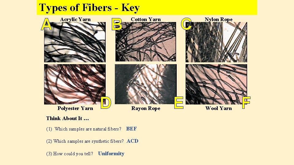 Types of Fibers - Key A Acrylic Yarn Polyester Yarn B D Cotton Yarn Types of Fibers - Key A Acrylic Yarn Polyester Yarn B D Cotton Yarn