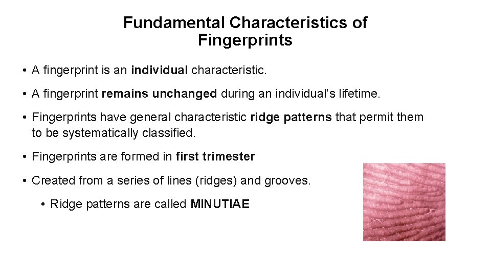 Fundamental Characteristics of Fingerprints • A fingerprint is an individual characteristic. • A fingerprint