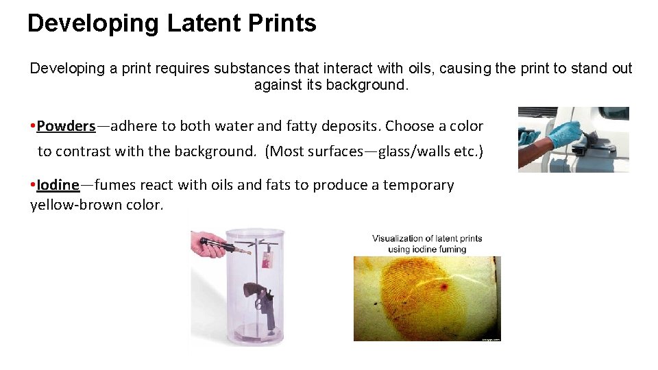 Developing Latent Prints Developing a print requires substances that interact with oils, causing the Developing Latent Prints Developing a print requires substances that interact with oils, causing the