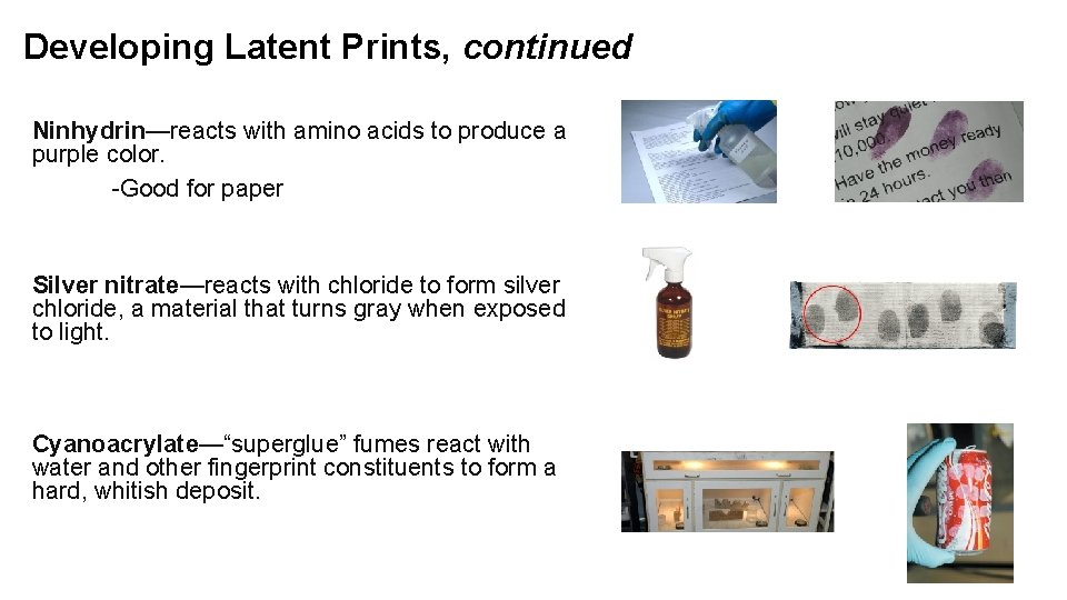 Developing Latent Prints, continued Ninhydrin—reacts with amino acids to produce a purple color. -Good Developing Latent Prints, continued Ninhydrin—reacts with amino acids to produce a purple color. -Good