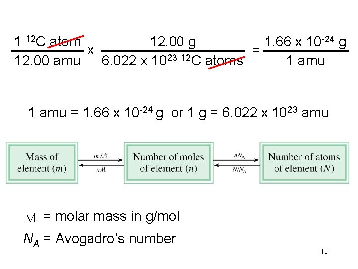 1 12 C atom 12. 00 g 1. 66 x 10 -24 g x