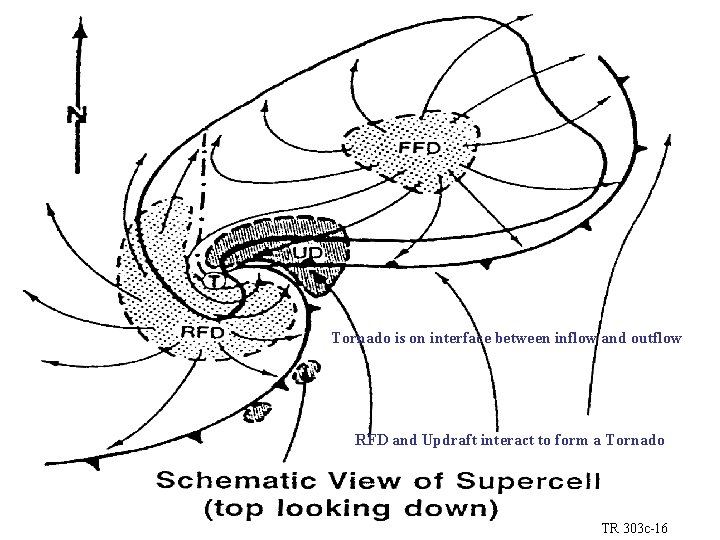 Tornado is on interface between inflow and outflow RFD and Updraft interact to form