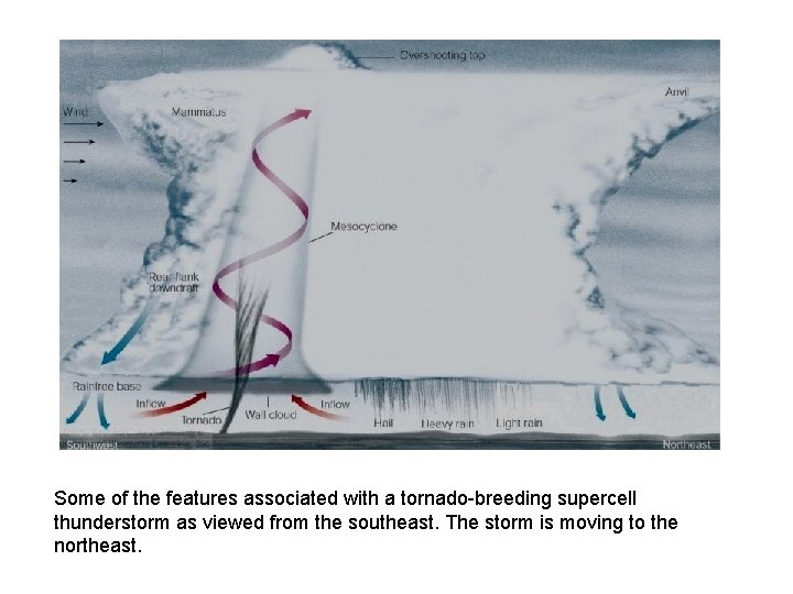 Some of the features associated with a tornado-breeding supercell thunderstorm as viewed from the