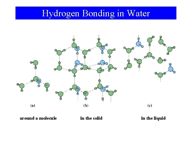 Hydrogen Bonding in Water around a molecule in the solid in the liquid 
