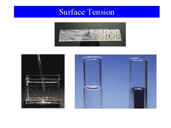 Surface Tension 
