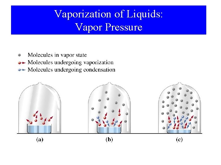Vaporization of Liquids: Vapor Pressure 