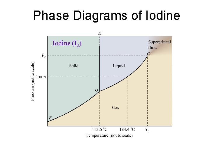 Phase Diagrams of Iodine (I 2) 