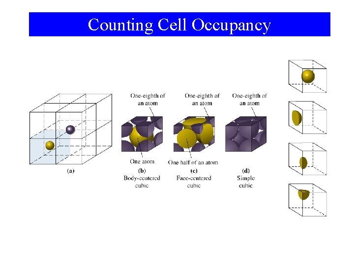 Counting Cell Occupancy 