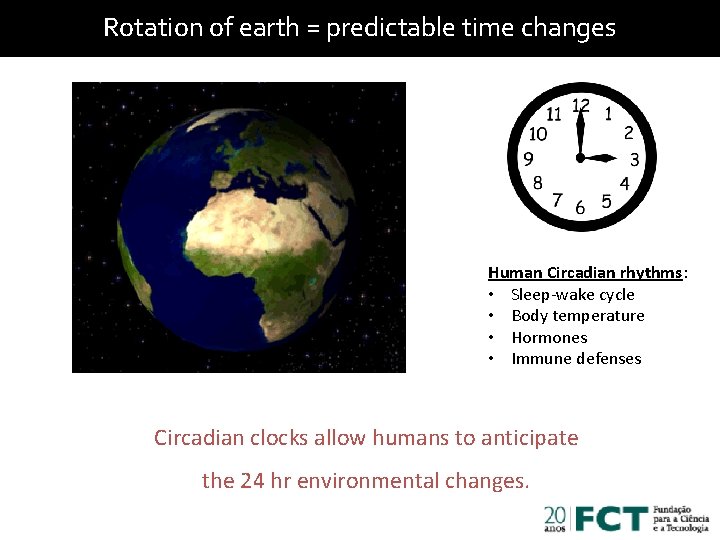 Rotation of earth = predictable time changes Human Circadian rhythms: • Sleep-wake cycle •