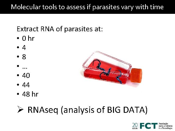 Molecular tools to assess if parasites vary with time Extract RNA of parasites at: