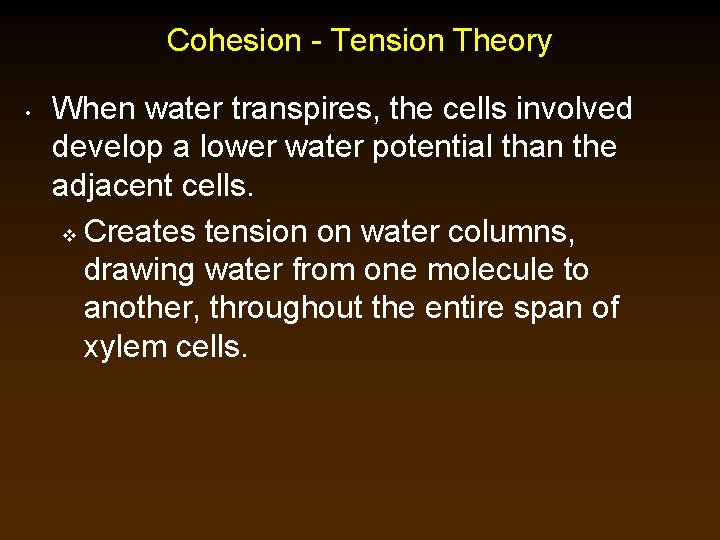 Cohesion - Tension Theory • When water transpires, the cells involved develop a lower