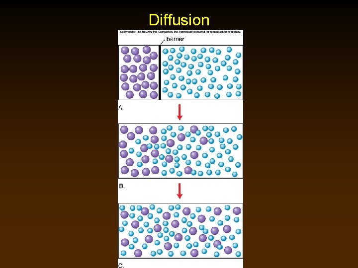 Diffusion 