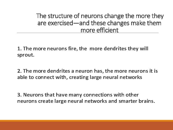 The structure of neurons change the more they are exercised—and these changes make them