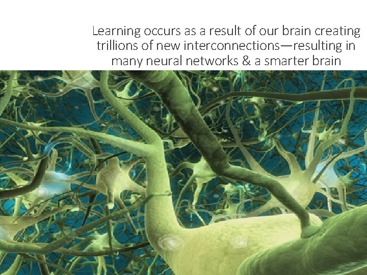 Learning occurs as a result of our brain creating trillions of new interconnections—resulting in