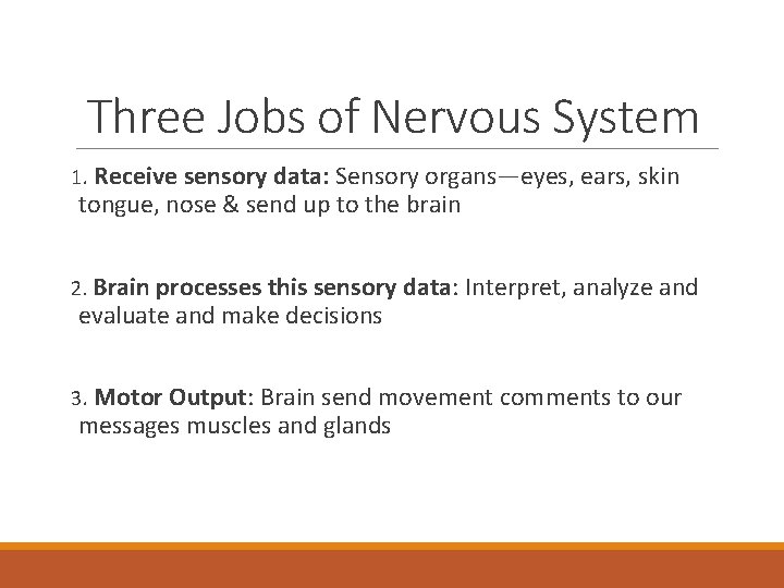 Three Jobs of Nervous System 1. Receive sensory data: Sensory organs—eyes, ears, skin tongue,