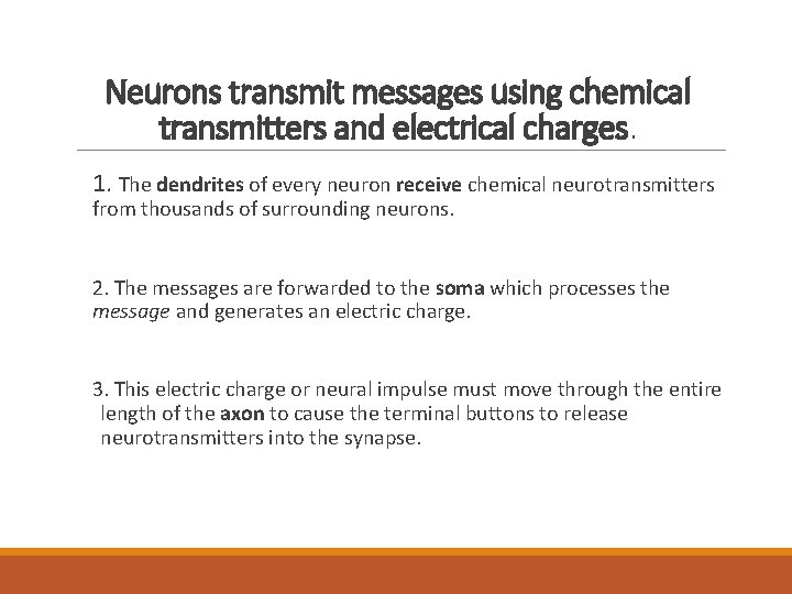 Neurons transmit messages using chemical transmitters and electrical charges. 1. The dendrites of every