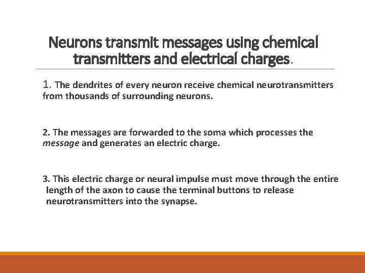 Neurons transmit messages using chemical transmitters and electrical charges. 1. The dendrites of every