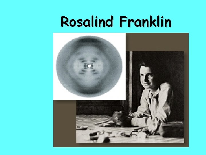 Rosalind Franklin 10 