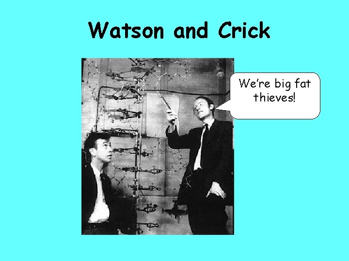 Watson and Crick We’re big fat thieves! 