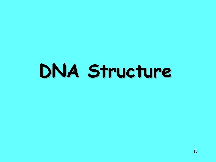 DNA Structure 13 