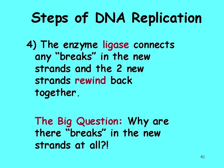 Steps of DNA Replication 4) The enzyme ligase connects any “breaks” in the new