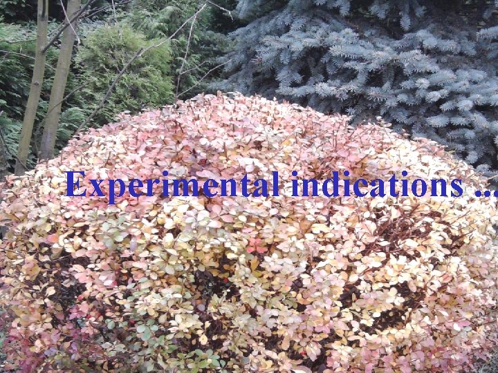  Experimental indications. . . 