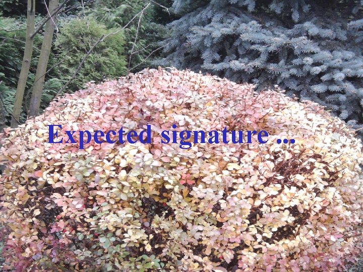  Expected signature. . . 