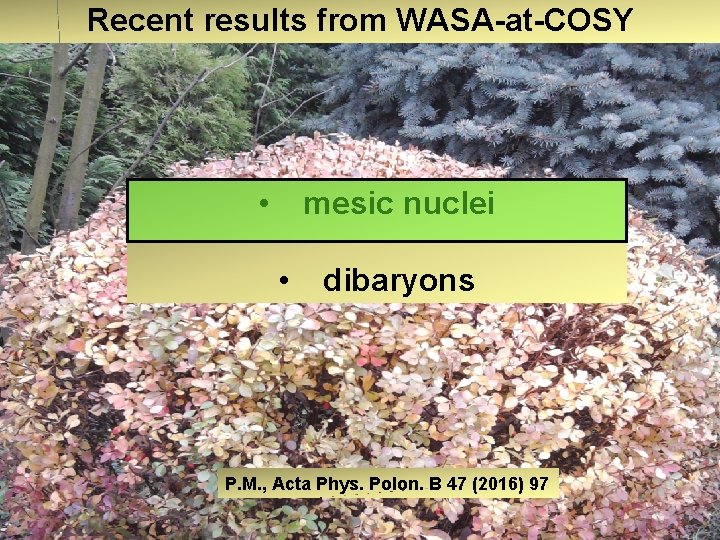 Recent results from WASA-at-COSY • mesic nuclei • dibaryons P. M. , Acta Phys.