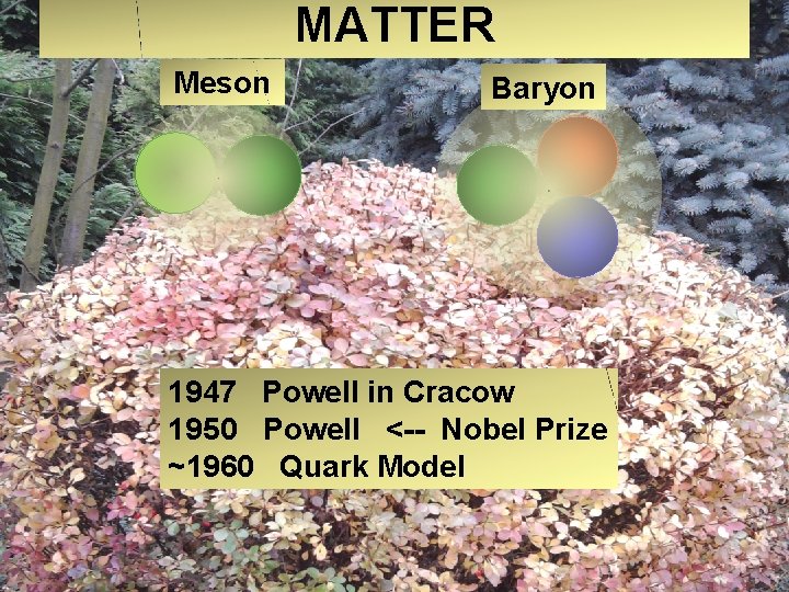 MATTER Meson Baryon 1947 Powell in Cracow 1950 Powell <-- Nobel Prize ~1960 Quark