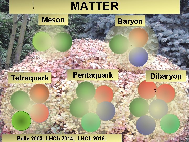 MATTER Meson Tetraquark Baryon Pentaquark Dibaryon ? Belle 2003; LHCb 2014; LHCb 2015; 
