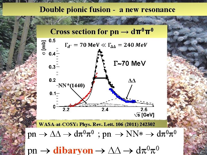 Double pionic fusion - a new resonance Cross section for pn → dπ0π0 70