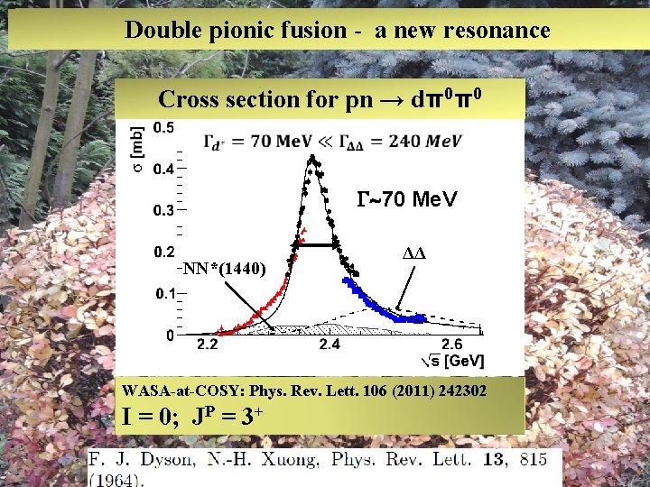 Double pionic fusion - a new resonance Cross section for pn → dπ0π0 70
