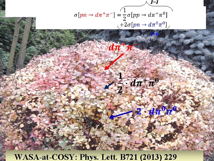 I=1 Total cross section p. N d I=0 WASA-at-COSY: Phys. Lett. B 721 (2013)