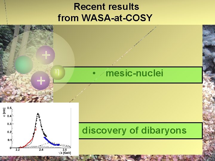 Recent results from WASA-at-COSY + + η • • mesic-nuclei discovery of dibaryons 