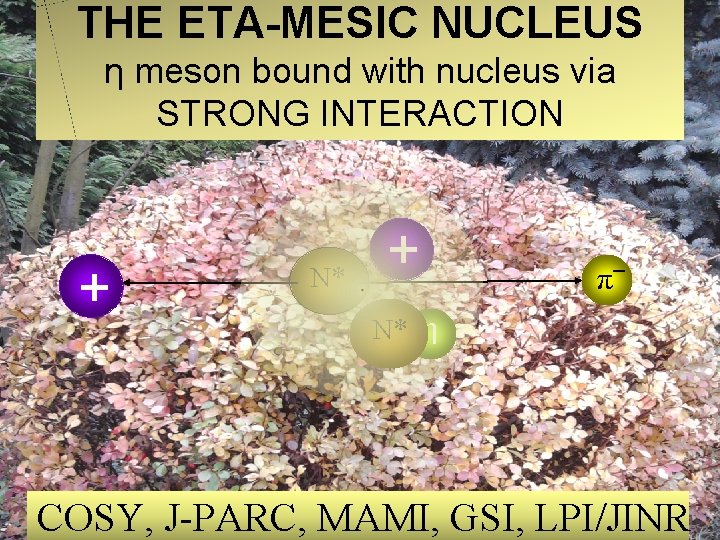 THE ETA-MESIC NUCLEUS η meson bound with nucleus via STRONG INTERACTION + N* +