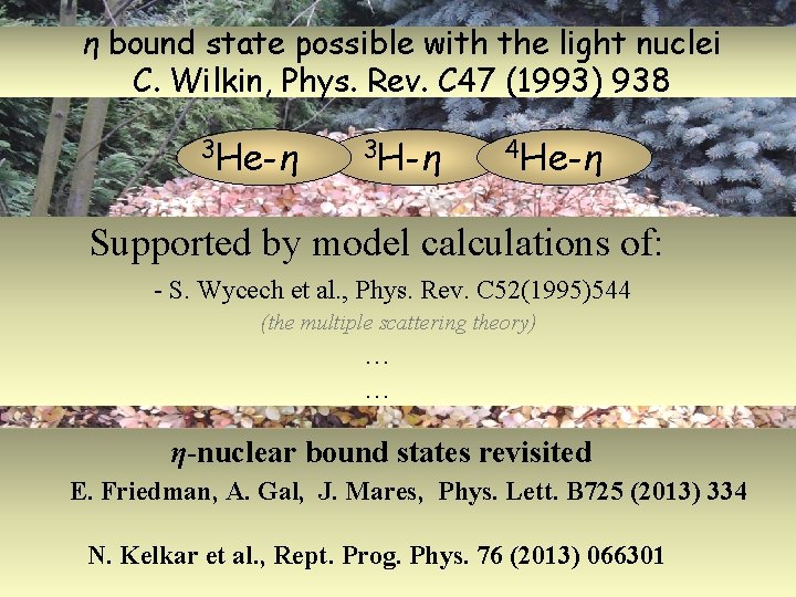 η bound state possible with the light nuclei C. Wilkin, Phys. Rev. C 47