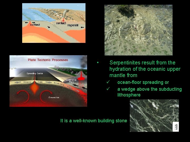  • Serpentinites result from the hydration of the oceanic upper mantle from ü