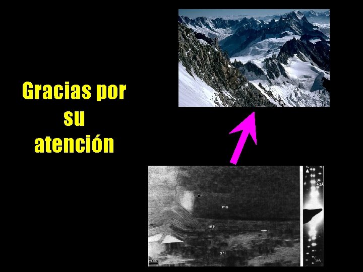 Gracias por su atención 