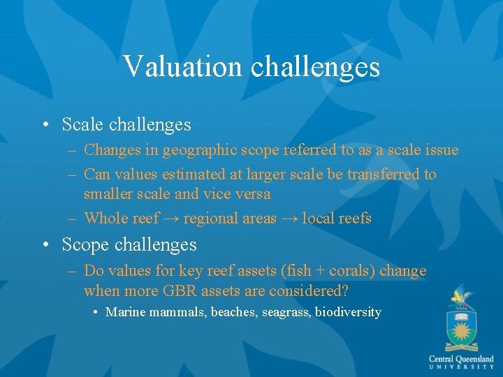 Valuation challenges • Scale challenges – Changes in geographic scope referred to as a