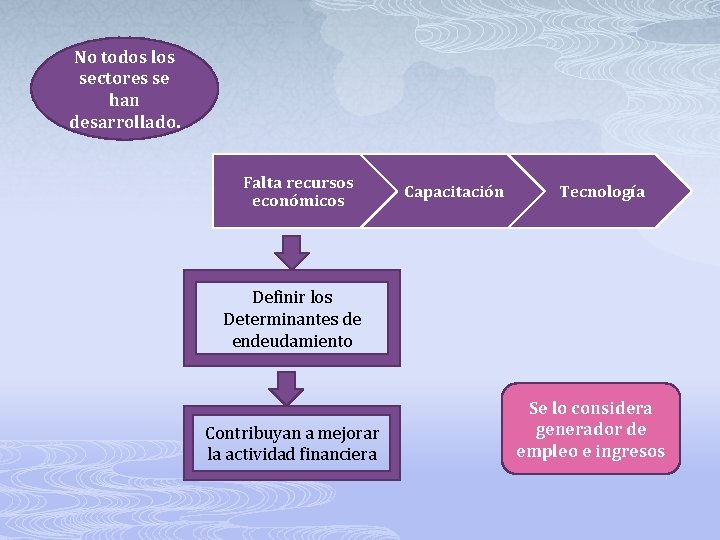 No todos los sectores se han desarrollado. Falta recursos económicos Capacitación Tecnología Definir los