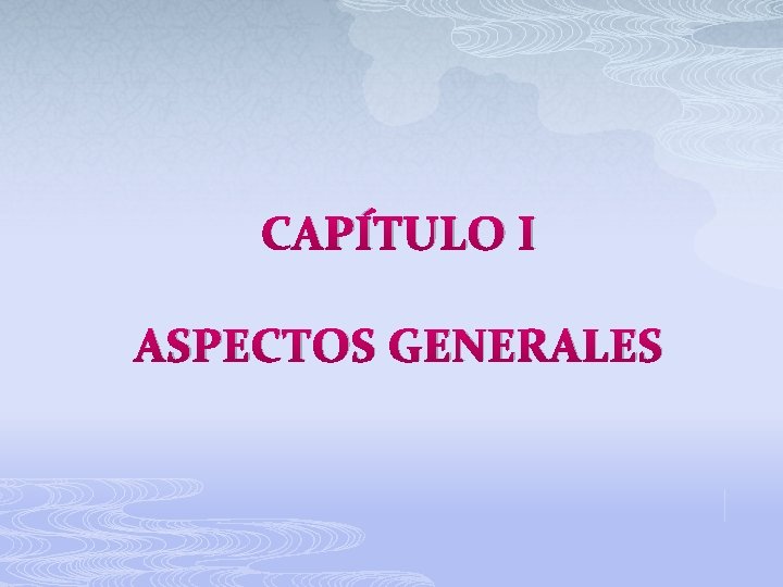 CAPÍTULO I ASPECTOS GENERALES 