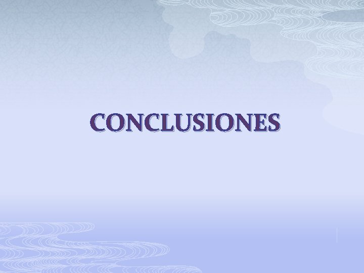 CONCLUSIONES 