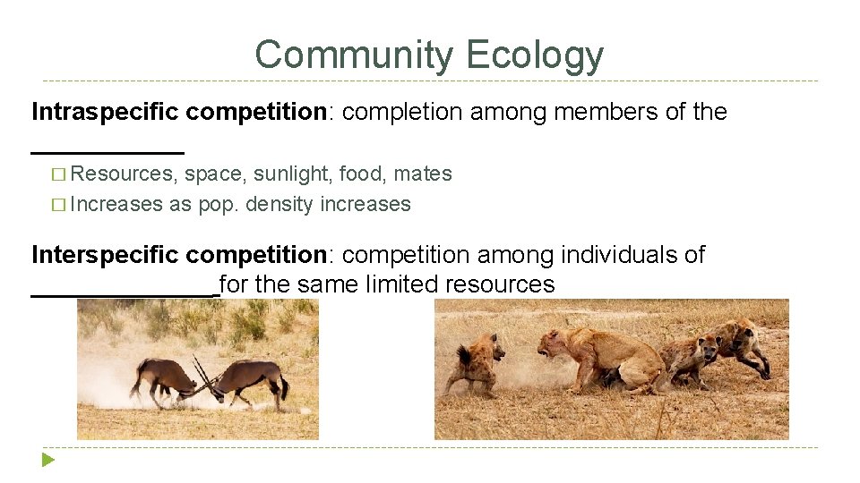 Community Ecology Intraspecific competition: completion among members of the ______ � Resources, space, sunlight,