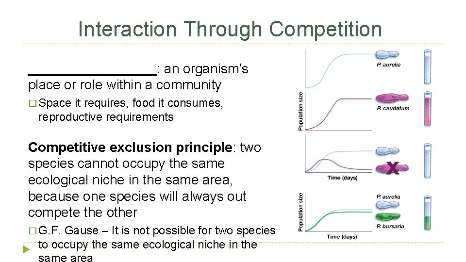 Interaction Through Competition _________: an organism’s place or role within a community � Space